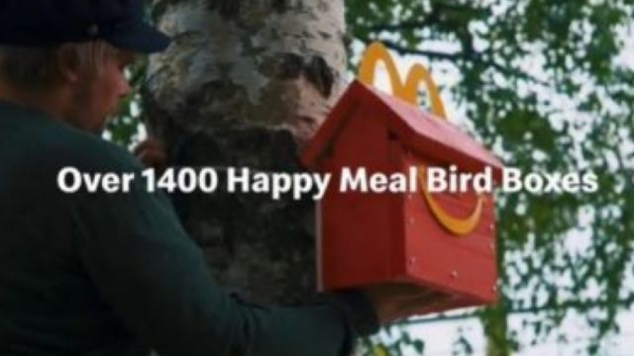 McDonald's instala casas para aves en peligro de extinción