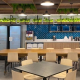 startup Kitch digitalización de restaurantes