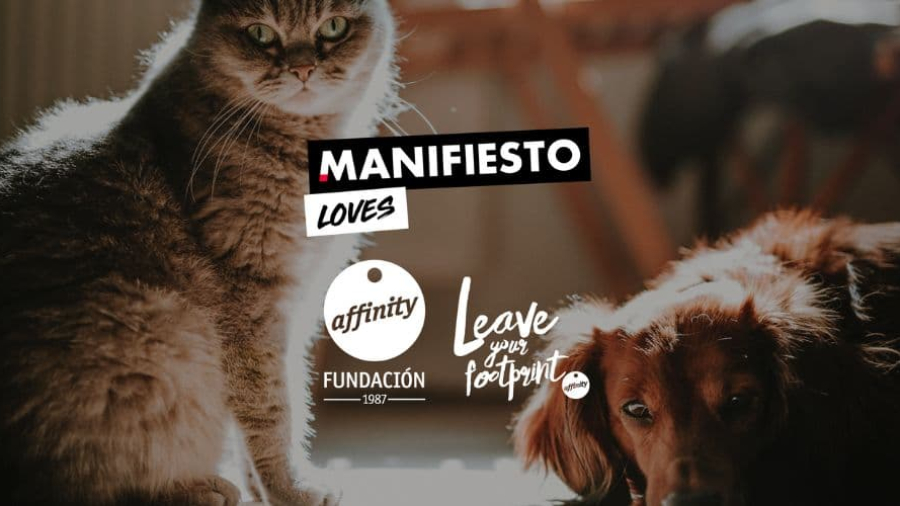 Manifiesto gana las cuentas de Affinity Talent Brand y Fundación Affinity