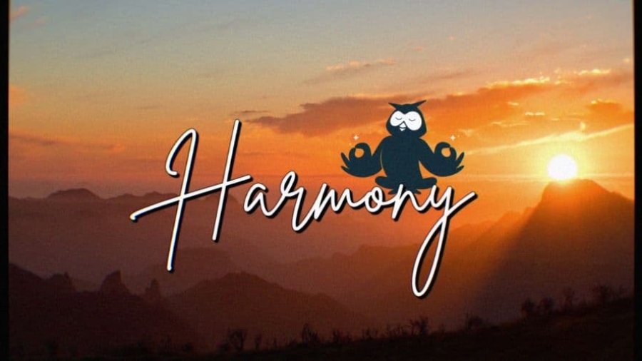 Hootsuite estrena la campaña Harmony