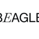 unidad de negocio Beagle de la consultora Darwin & Verne