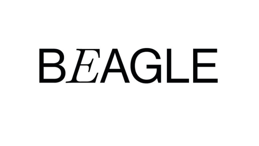 unidad de negocio Beagle de la consultora Darwin & Verne