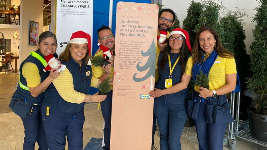 IKEA México celebra la Navidad con árboles naturales en macetas