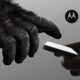 Motorola incorporará Corning Gorilla Glass a sus smartphones en 2024