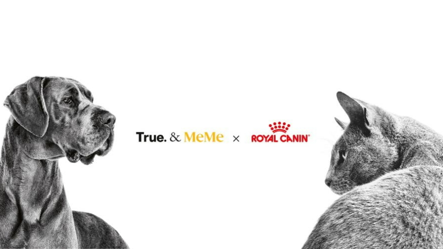 True y MeMe son nuevas agencias de PR y social media de Royal Canin en España y Portugal