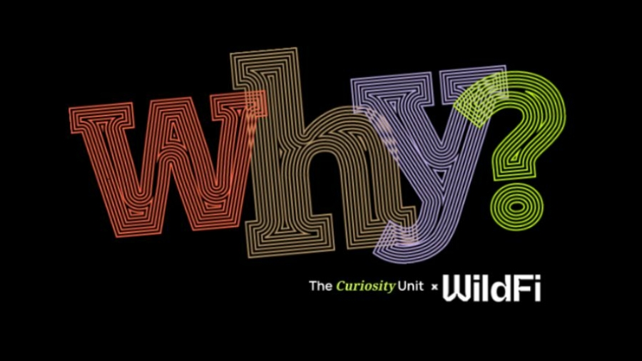Wild Fi lanza la solución WHY?