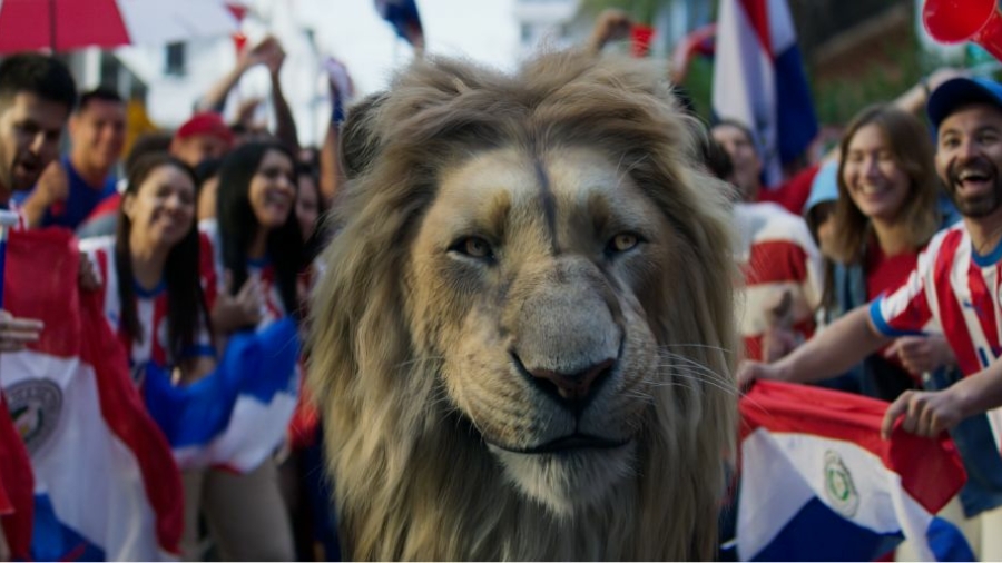 Campaña La garra guaraní está de vuelta