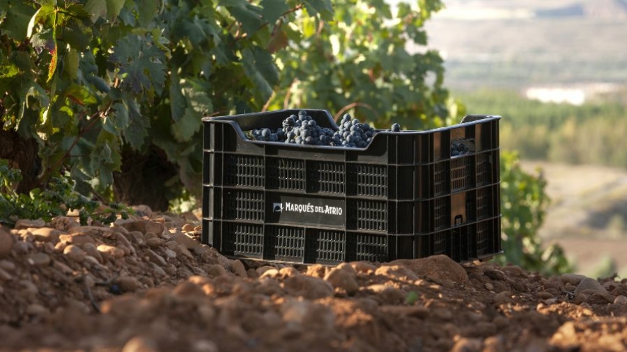 Grupo bodeguero Marqués del Atrio