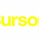logotipo de la agencia Burson