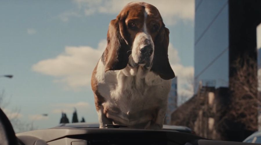 Rastreator estrena la campaña Déjate de trucos