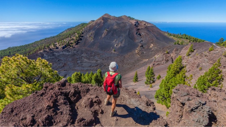 PROMOTUR Turismo de Islas Canarias