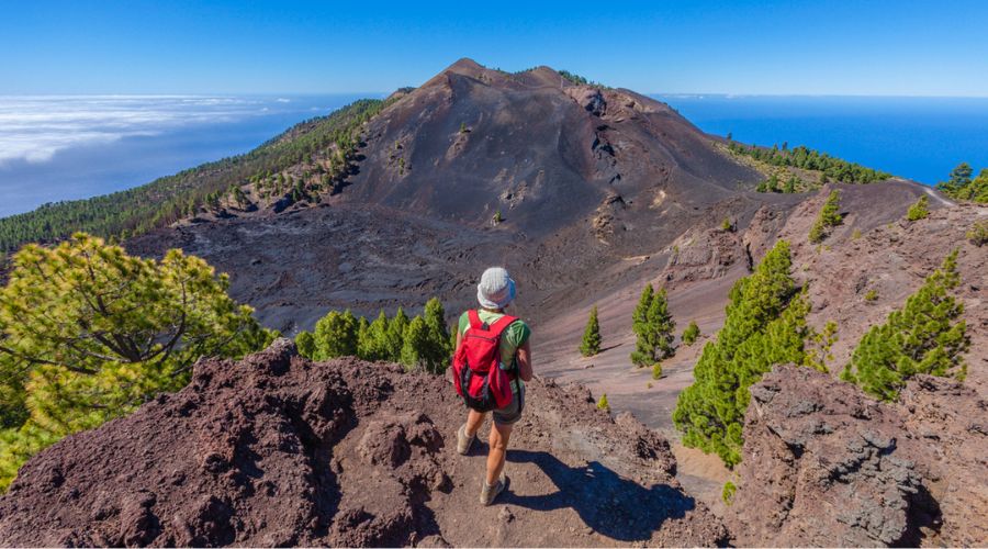 PROMOTUR Turismo de Islas Canarias