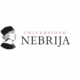 Universidad Nebrija