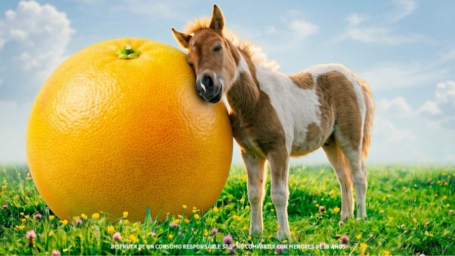 Campaña Larios Pomelo x PS21