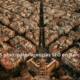 agencias SEO en Barcelona