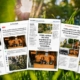 Plan de branded content para el centenario de STIHL