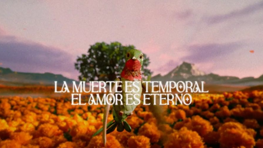 Campaña El Amor es Eterno de Cerveza Victoria