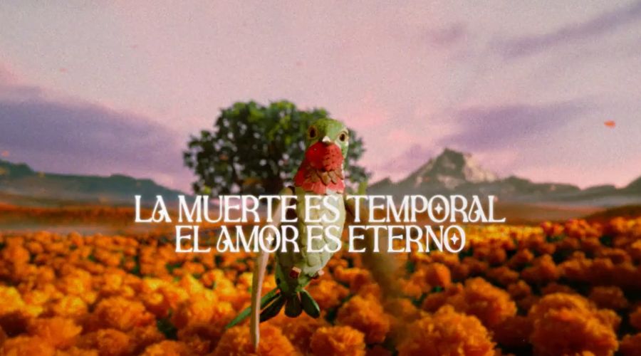 Campaña El Amor es Eterno de Cerveza Victoria